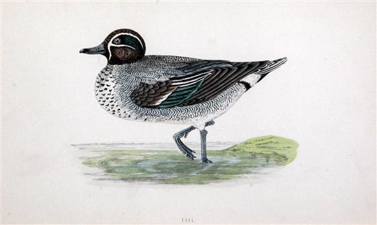 A set of six coloured engraved prints of ducks, and two further prints of fruit (8)